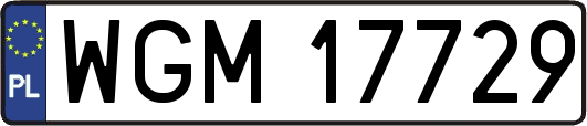 WGM17729