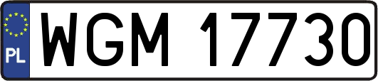 WGM17730