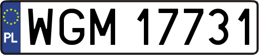 WGM17731