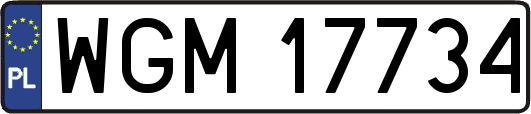 WGM17734