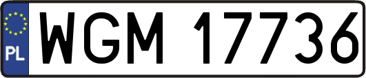 WGM17736