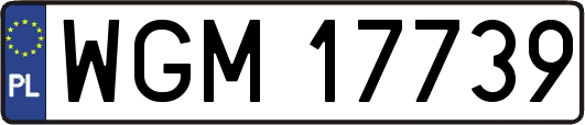 WGM17739