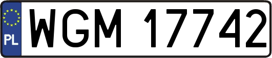 WGM17742