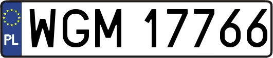 WGM17766