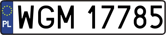 WGM17785