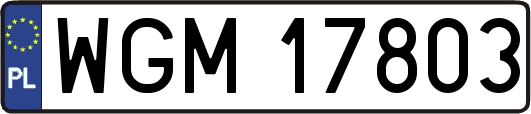 WGM17803