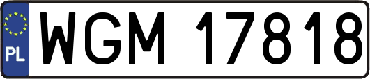 WGM17818