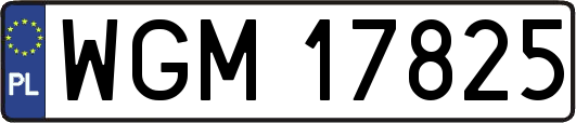 WGM17825