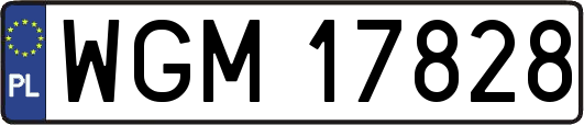 WGM17828