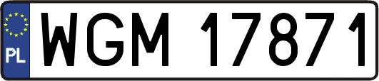 WGM17871