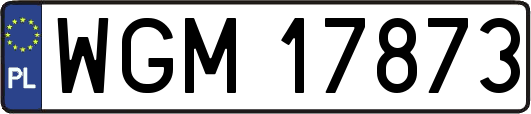 WGM17873