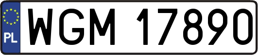 WGM17890