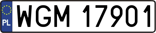 WGM17901