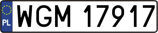 WGM17917