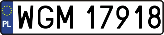 WGM17918