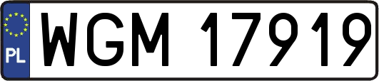 WGM17919