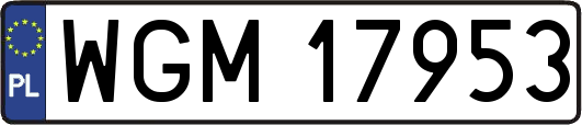 WGM17953