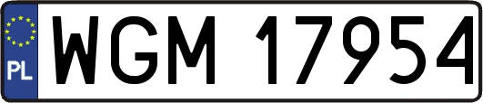 WGM17954