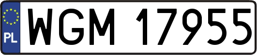 WGM17955