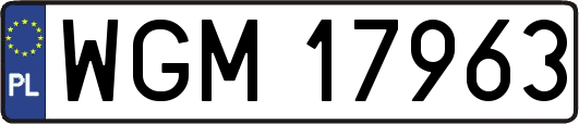 WGM17963