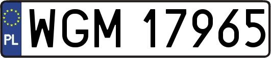 WGM17965