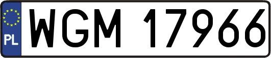 WGM17966