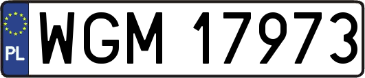 WGM17973
