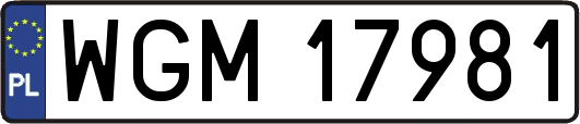 WGM17981