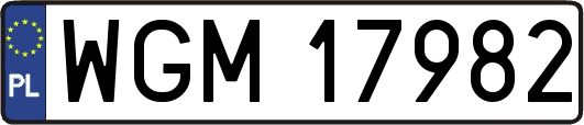 WGM17982