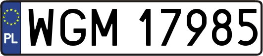 WGM17985