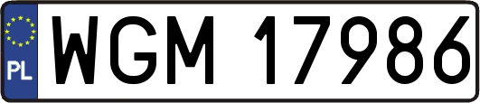 WGM17986