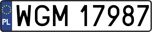 WGM17987