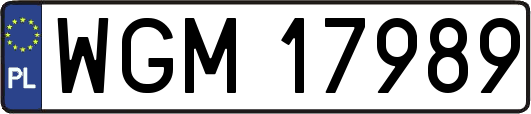 WGM17989
