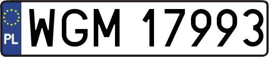WGM17993