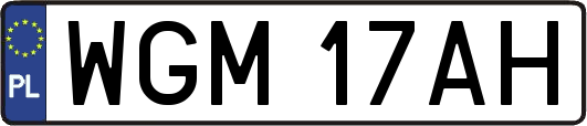 WGM17AH