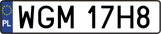 WGM17H8