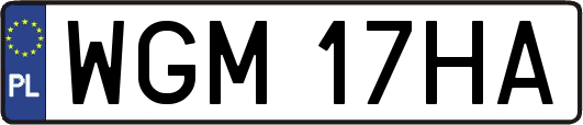 WGM17HA