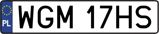 WGM17HS