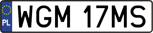 WGM17MS