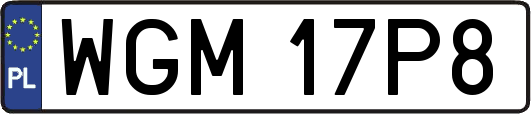 WGM17P8