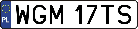 WGM17TS
