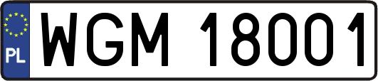 WGM18001