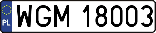 WGM18003