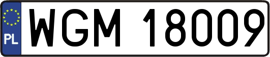 WGM18009