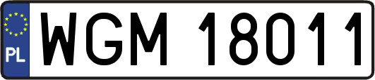 WGM18011