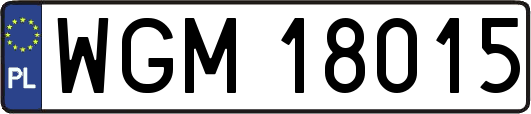 WGM18015