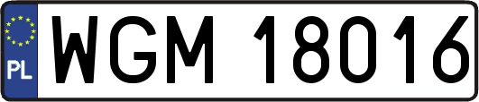 WGM18016