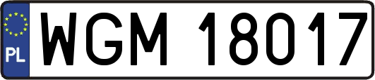 WGM18017