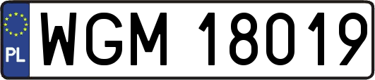 WGM18019