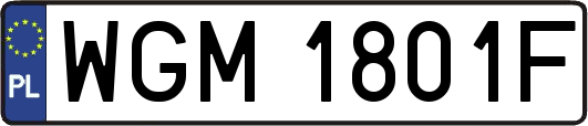 WGM1801F